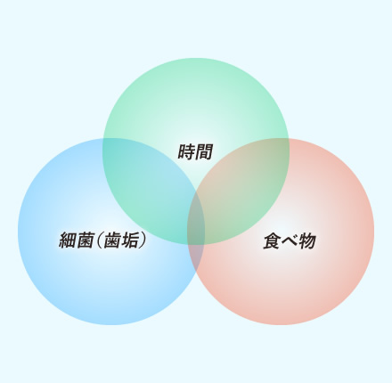 むし歯について